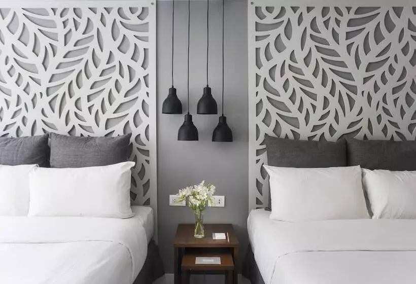 Fotos del hotel Rochester Hotel M:  17