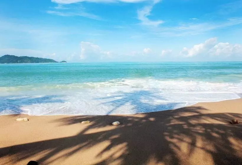 Fotos del hotel Simplitel:  11