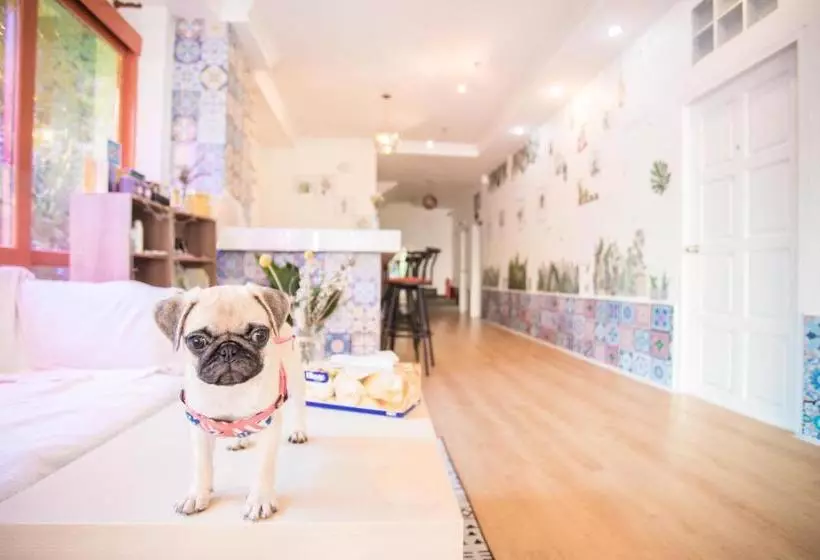 Fotos del hotel The Lantine Hostel:  8