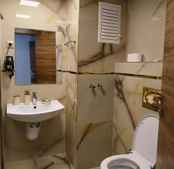 Fotos del hotel Safari:  8