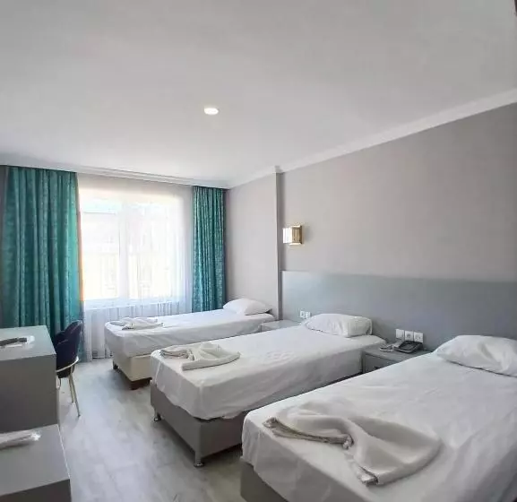 Fotos del hotel Safari:  15