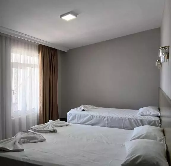 Fotos del hotel Safari:  13