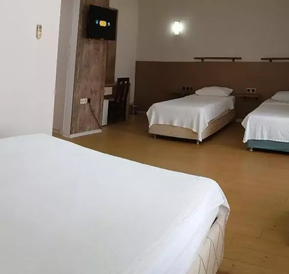 Fotos del hotel Safari:  11