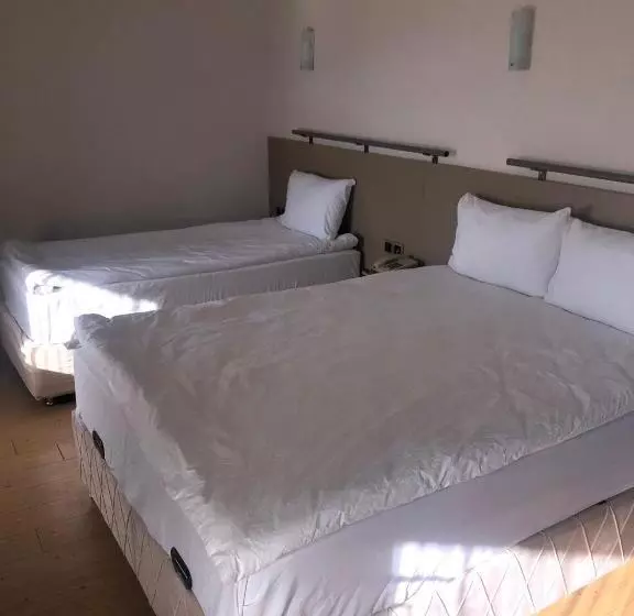 Fotos del hotel Safari:  7