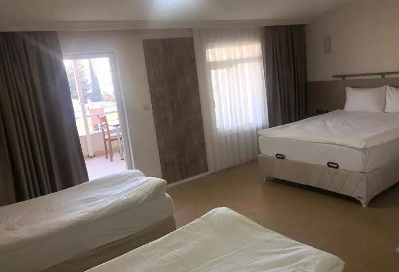 Fotos del hotel Safari:  5