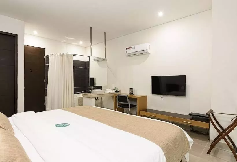 Fotos del hotel Lincoln:  13