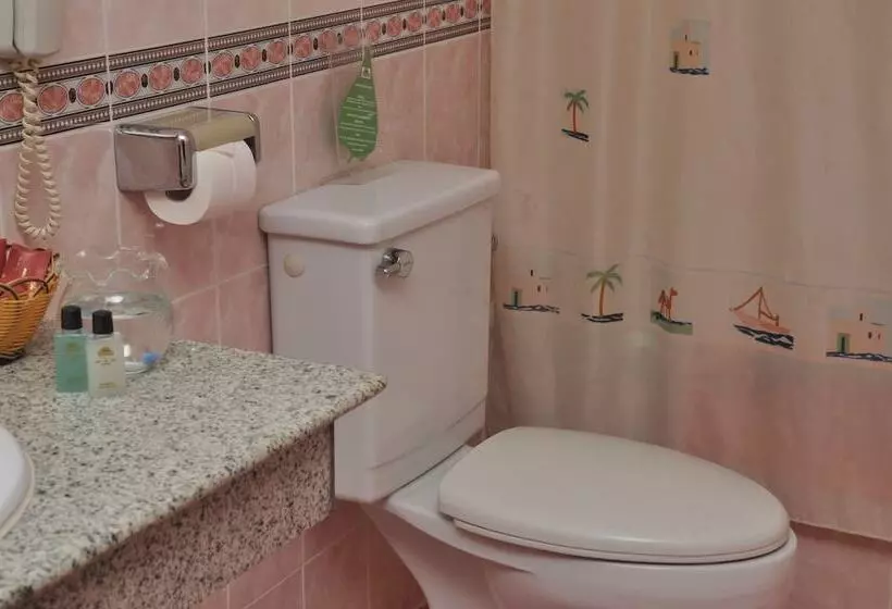 Fotos del hotel Arc En Ciel:  14