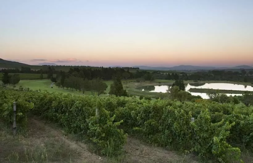 Fotos del hotel Devonvale Golf & Wine Lodge:  4