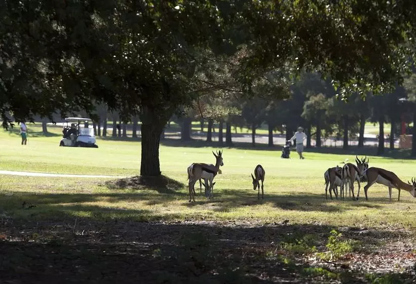 Fotos del hotel Devonvale Golf & Wine Lodge:  12