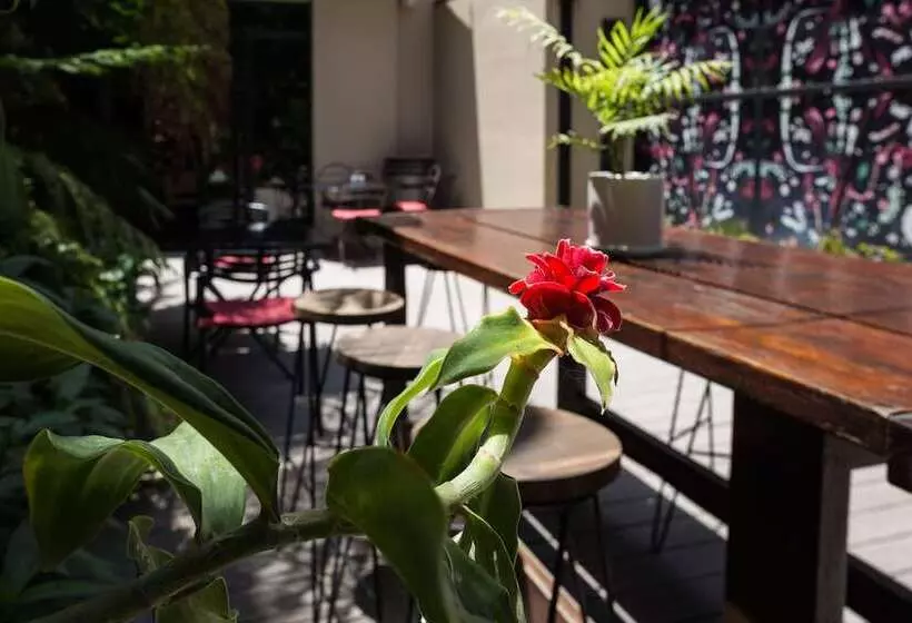 Fotos del hotel Fierro Hotel Buenos Aires:  13