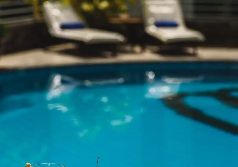 Fotos del hotel Mondial:  14