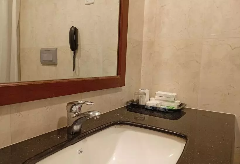 Fotos del hotel Presidency:  8