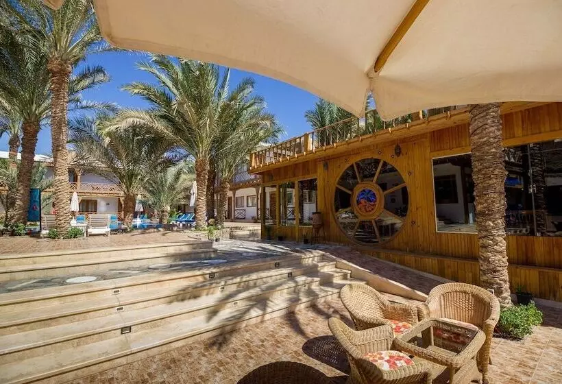 Fotos del hotel Acacia Dahab:  18