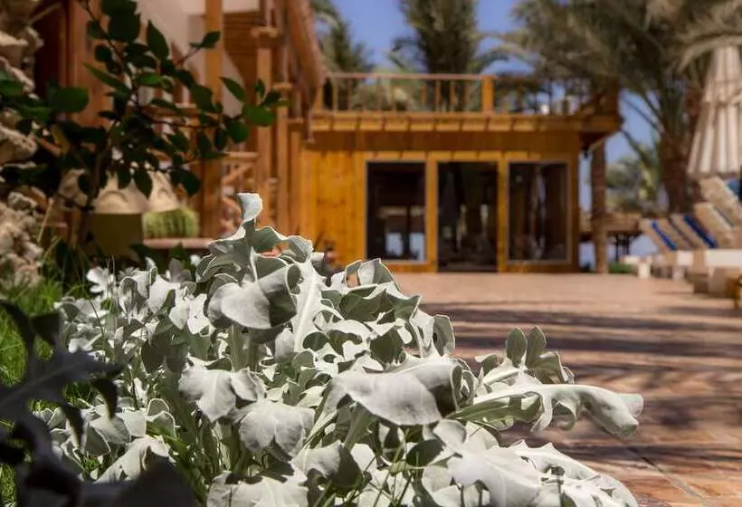 Fotos del hotel Acacia Dahab:  16