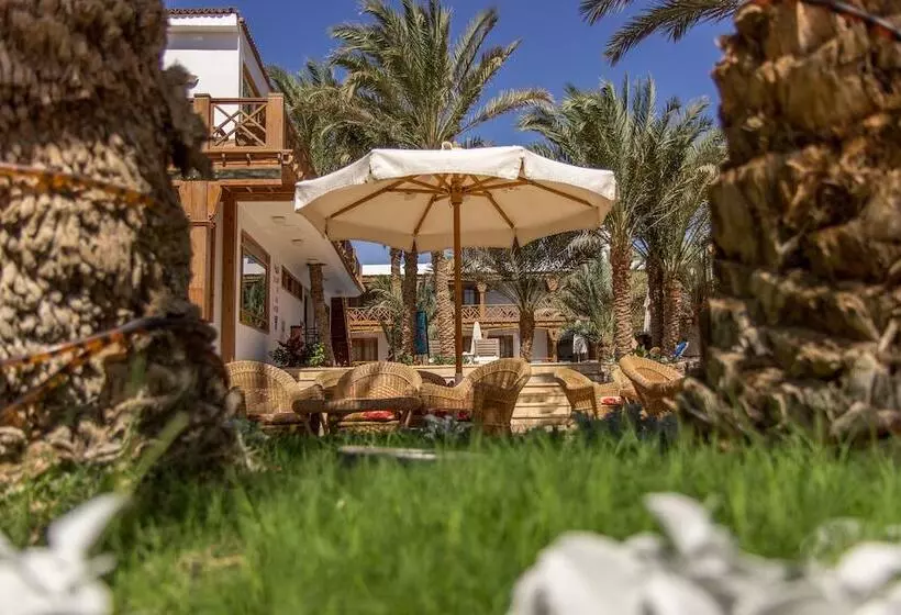 Fotos del hotel Acacia Dahab:  22