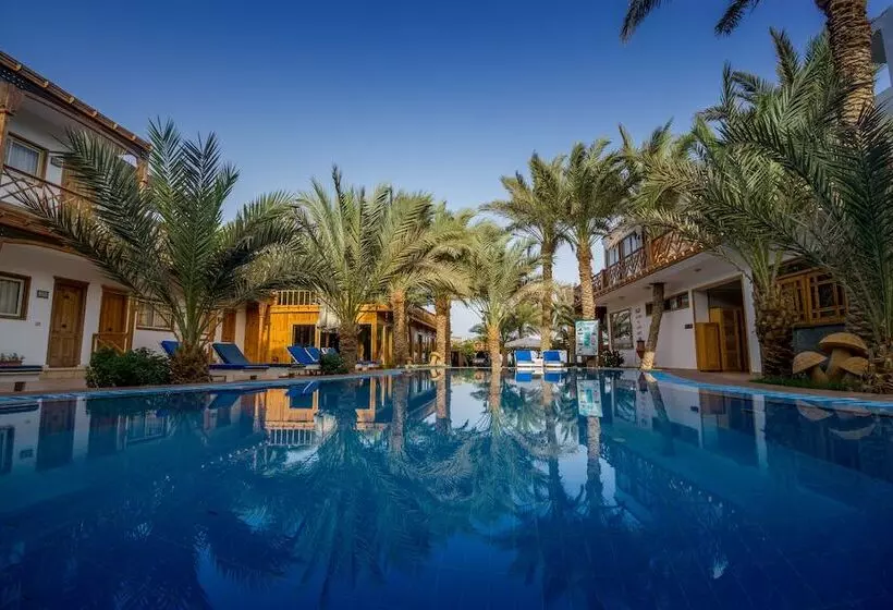 Fotos del hotel Acacia Dahab:  9