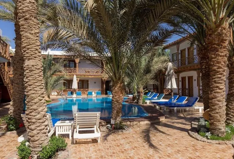 Fotos del hotel Acacia Dahab:  14