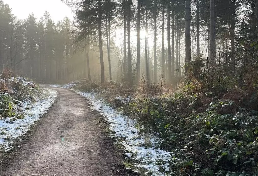 Fotos del hotel Harpur's of Melbourne:  11