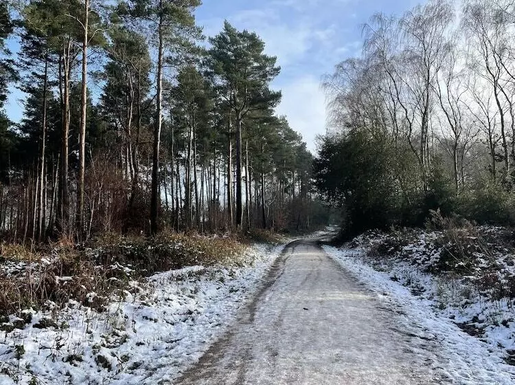 Fotos del hotel Harpur's of Melbourne:  17