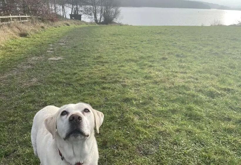 Fotos del hotel Harpur's of Melbourne:  4