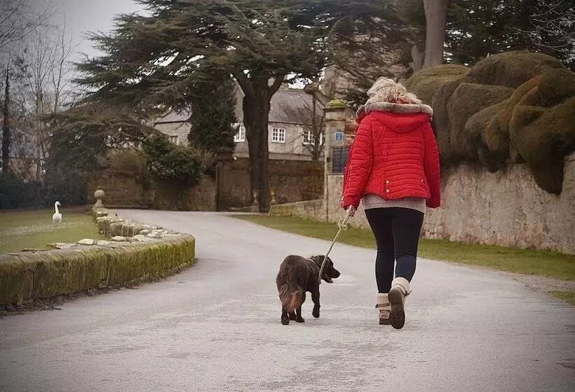 Fotos del hotel Harpur's of Melbourne:  3