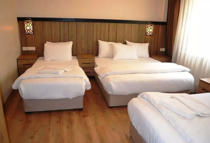 Fotos del hotel Istanbul Comfort:  21