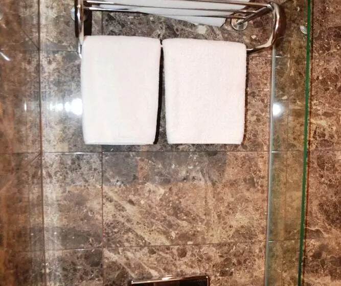 Fotos del hotel Istanbul Comfort:  15