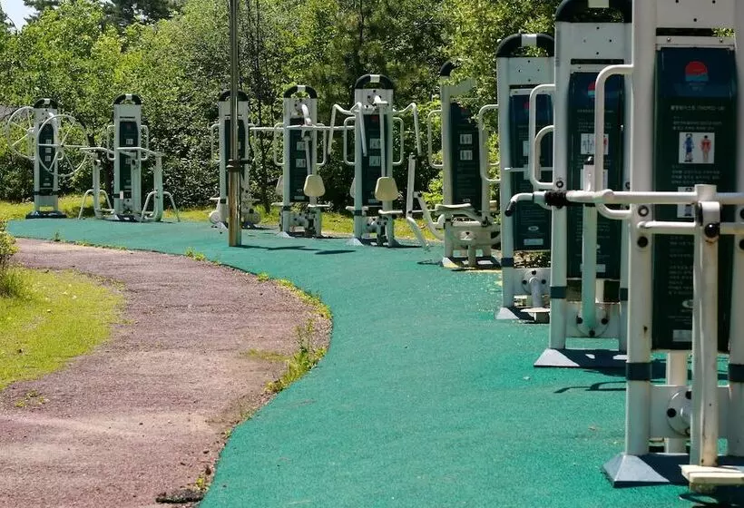 Fotos del hotel Incheon The  Yeongjong:  10