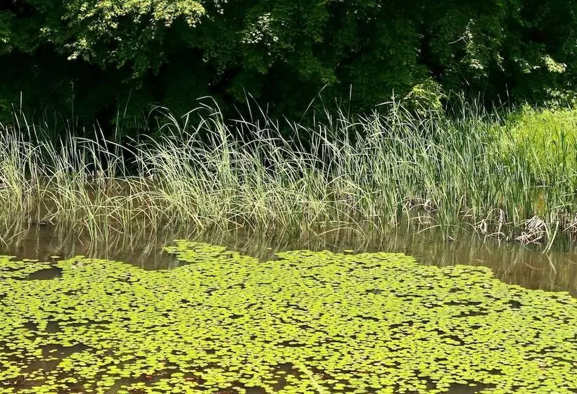 Fotos del hotel Incheon The  Yeongjong:  6