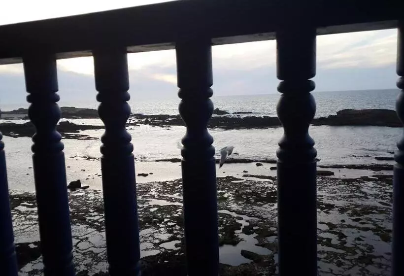 Fotos del hotel Dar Ayour:  21