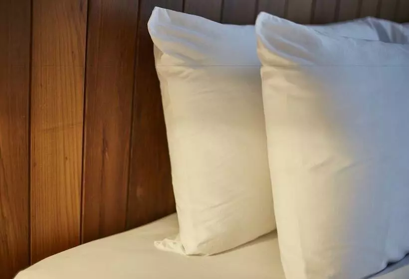 Fotos del hotel Luxx:  25