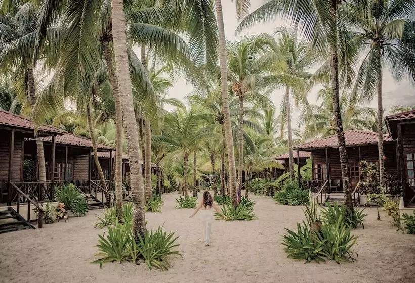 Fotos del hotel Petit Lafitte:  9