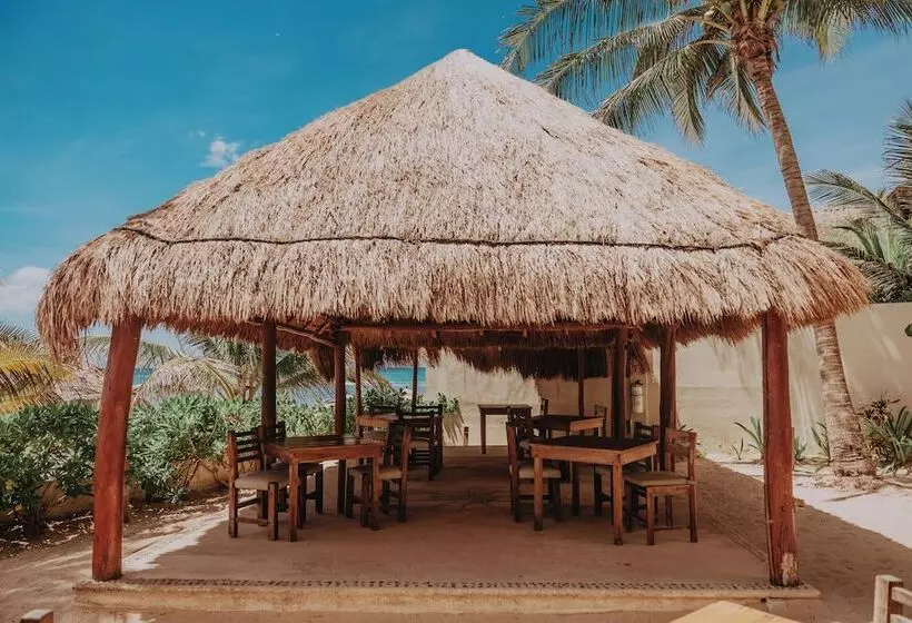 Fotos del hotel Petit Lafitte:  2