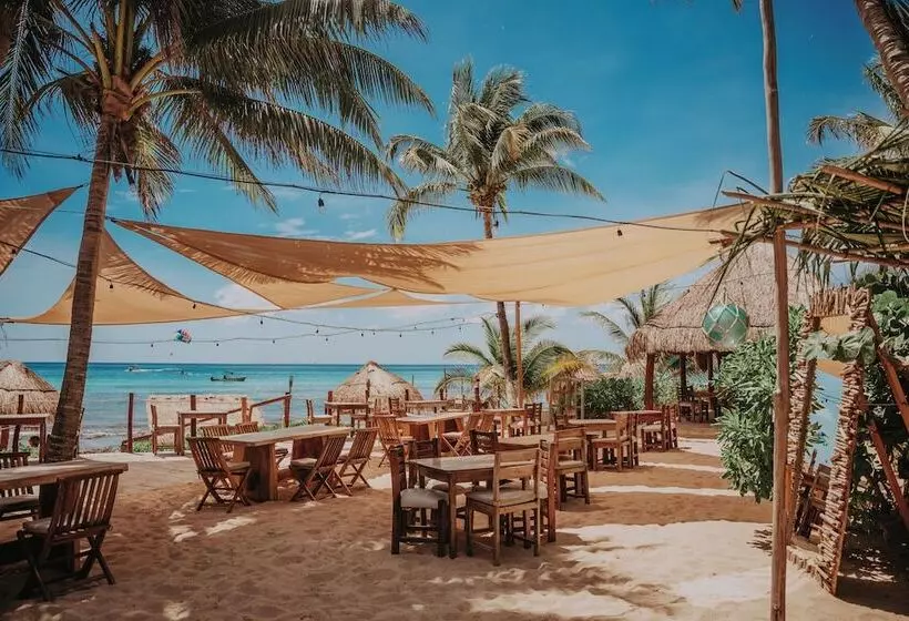 Fotos del hotel Petit Lafitte:  6