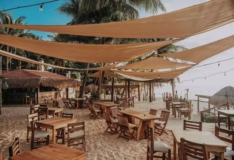 Fotos del hotel Petit Lafitte:  14