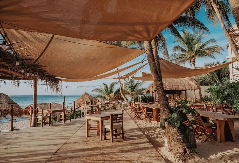 Fotos del hotel Petit Lafitte:  12