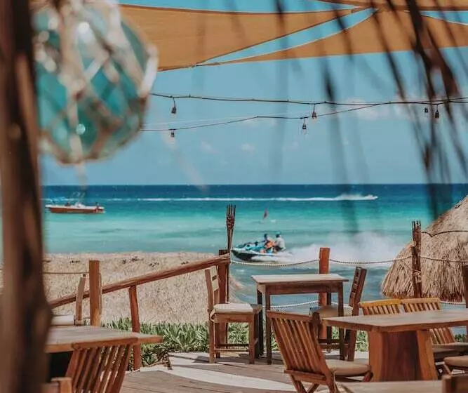 Fotos del hotel Petit Lafitte:  5