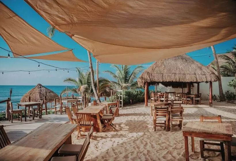 Fotos del hotel Petit Lafitte:  10