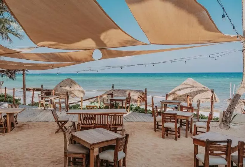 Fotos del hotel Petit Lafitte:  8