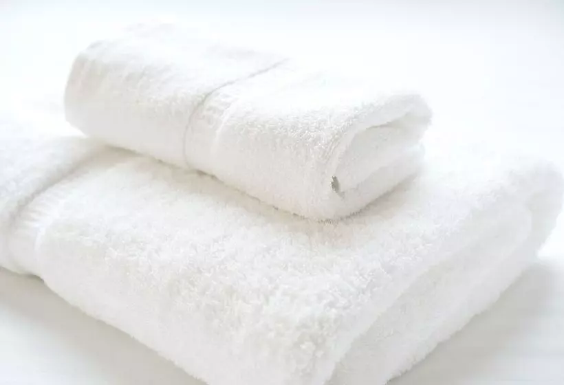 Fotos del hotel Villa Fontaine Tokyokayabacho:  4