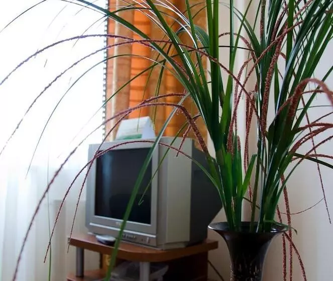 Fotos del hotel Vila Verde:  8