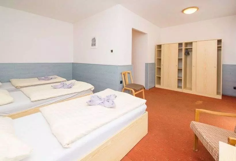 Fotos del hotel Sport  Gejzirpark:  24