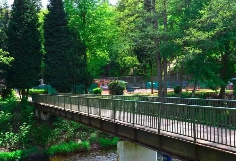 Fotos del hotel Sport  Gejzirpark:  2