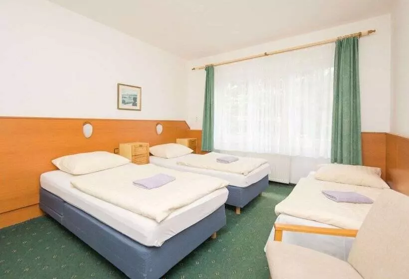 Fotos del hotel Sport  Gejzirpark:  18