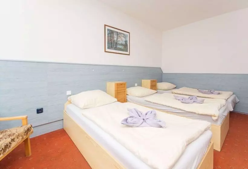 Fotos del hotel Sport  Gejzirpark:  5