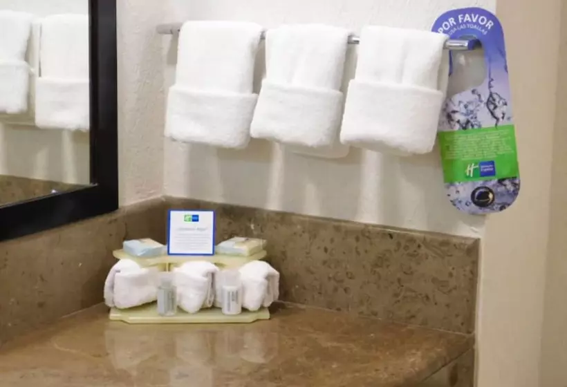 Fotos del hotel Holiday Inn Express & Suites Tuxtla Gutierrez La Marimba, An Ihg:  21