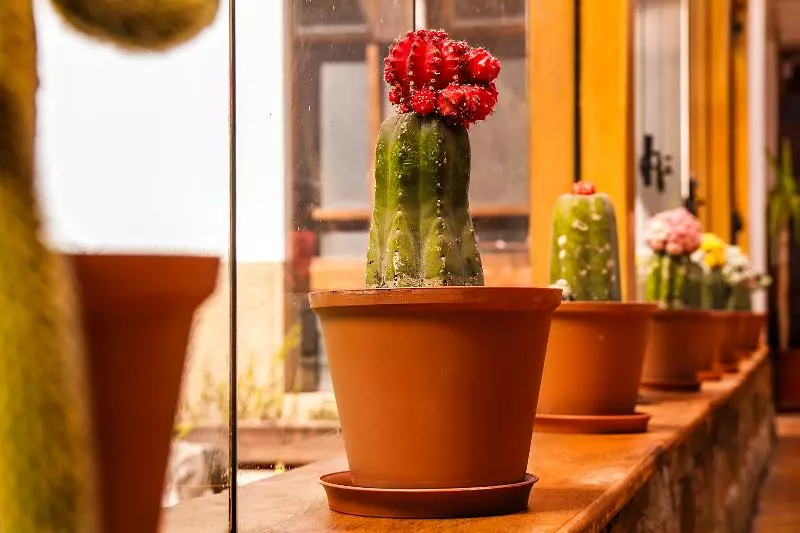 Fotos del hotel Monasterio San Pedro:  11