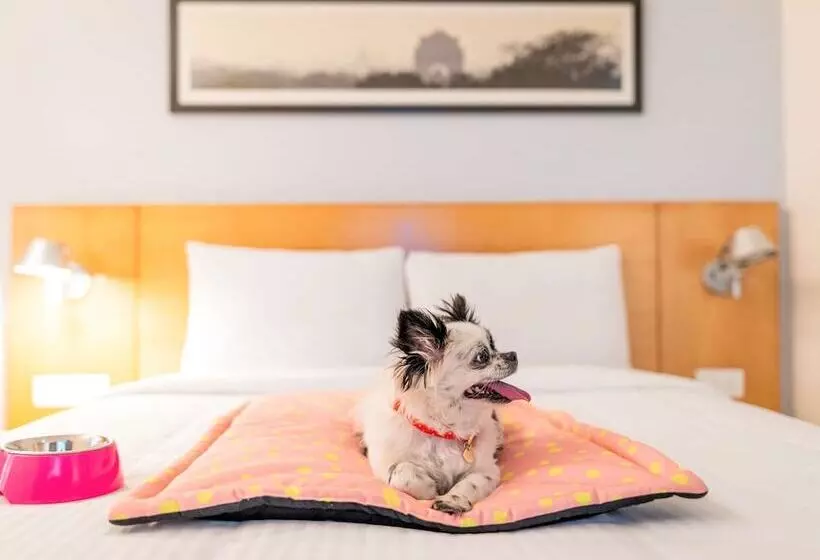 Fotos del hotel Ibis Bengaluru Hosur Road:  2