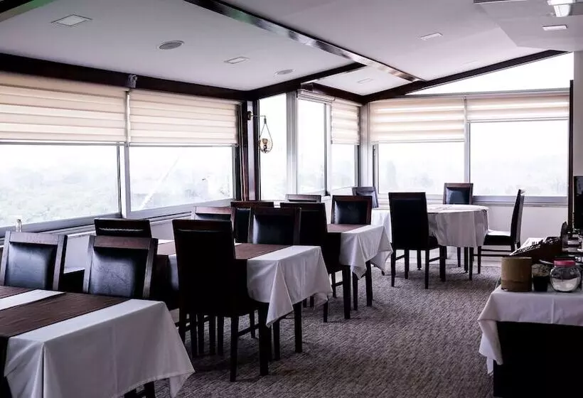 Fotos del hotel Palm City Hotel:  7