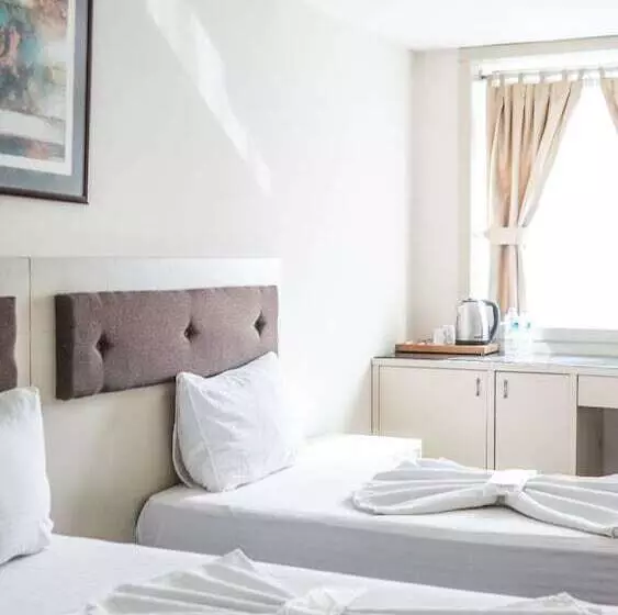 Fotos del hotel Palm City Hotel:  2